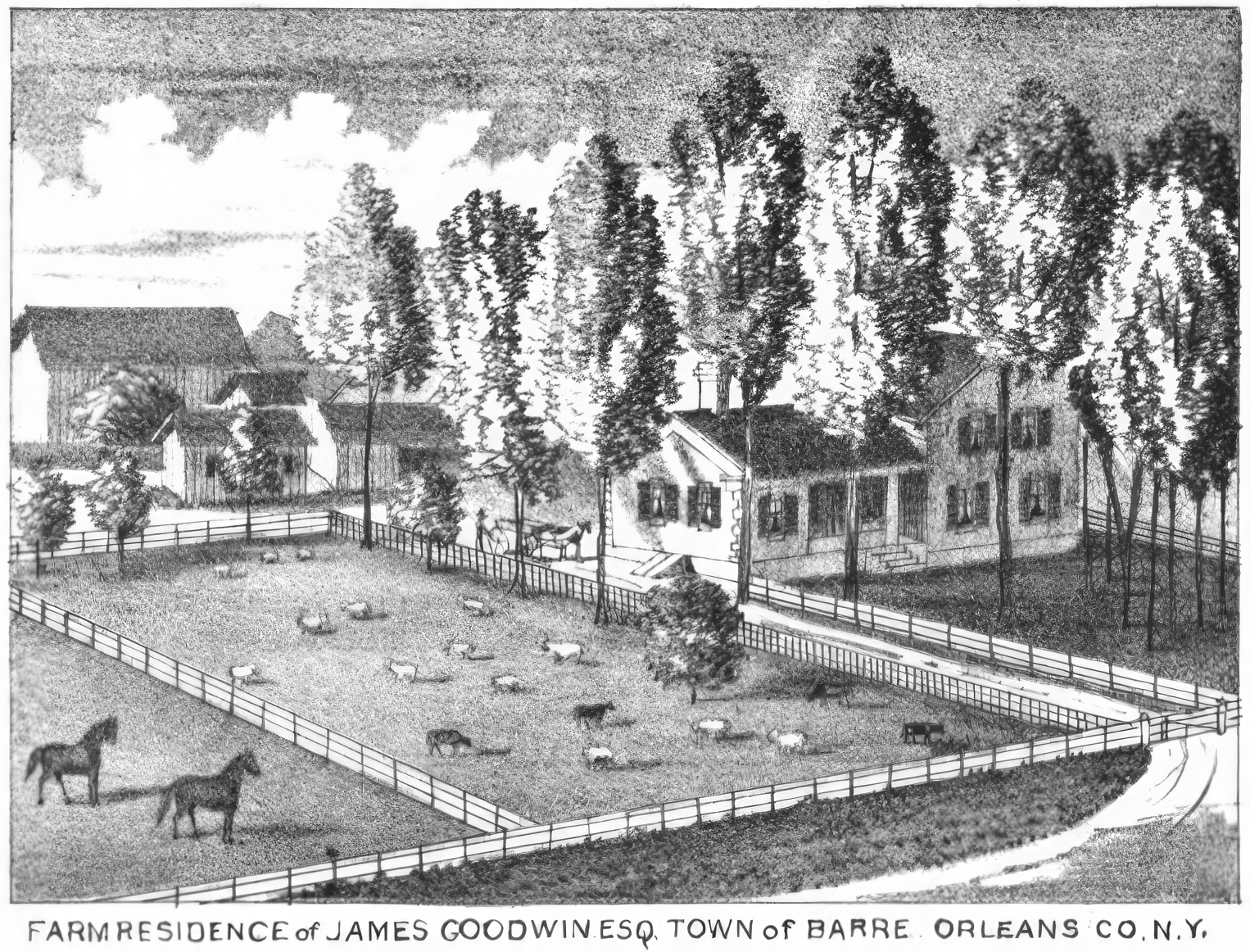 Bar-2 Gaylord 2 Goodwin